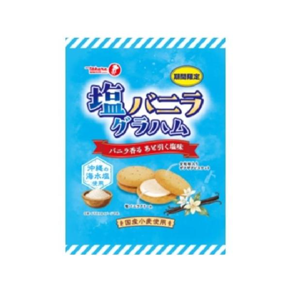 宝製菓 塩バニラグラハムビスケット 117g×15袋