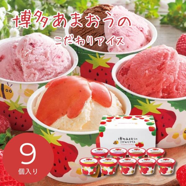 夏ギフト 2026 お中元 アイス 冷菓  退職  お返し 内祝い  洋菓子 ギフト  博多あまおうのこだわりアイス AH-ABR アイスクリーム C7217084T 【メーカー直送】