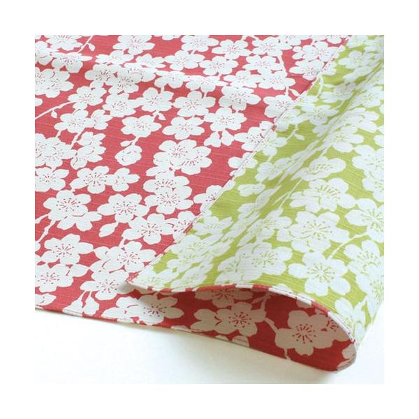 [  ɍl  OЗʕC~iӂ낵j POScm isN/O[j