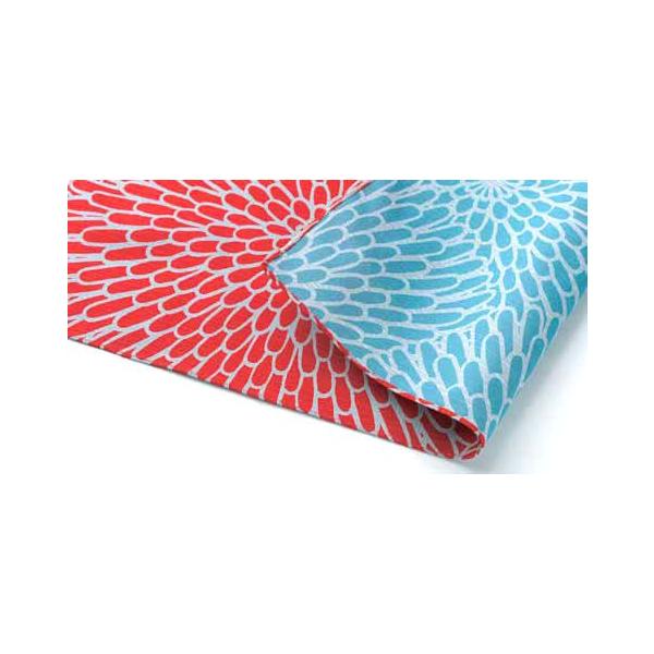 [  NEWɍl  ʃ`[tC~ӂ낵j48cme AJ^ZCW