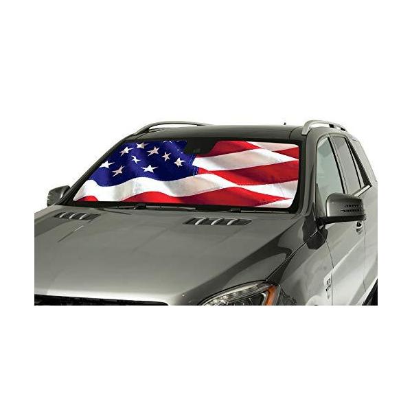 Intro-Tech LN-22-US シルバー カスタムフィット アメリカ国旗