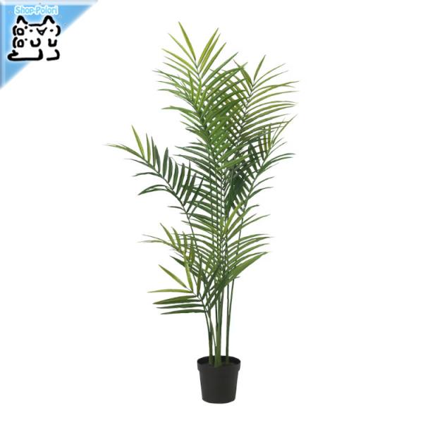 polori_ikea-60548186