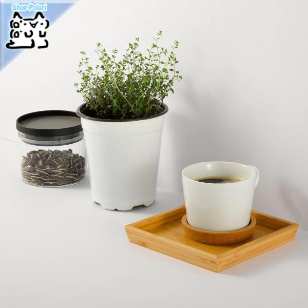 IKEA - CPA - OSTBIT -IXgrbg- gC | 15x15 cm (804.888.17)