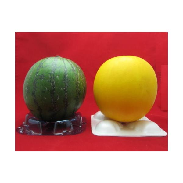 t[c}bĝ߂ZbgûĂ݂Hv100Zbg ؂̂zc