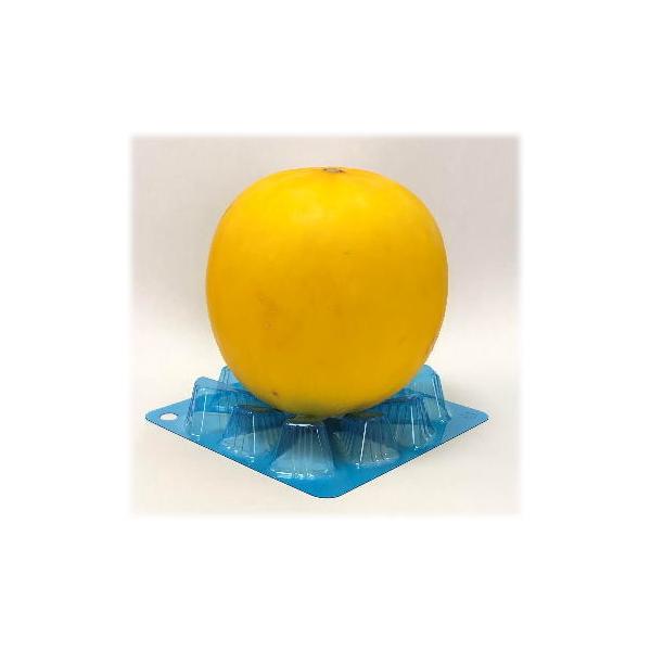 GtsR`[pʎ}bgPET100@؂̂zc