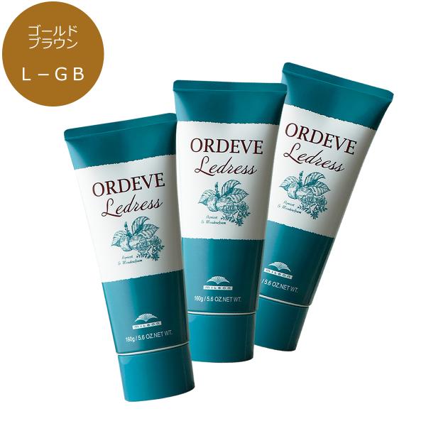MILBON（ミルボン） 3点セット オルディーブ ルドレス 160g L-GB