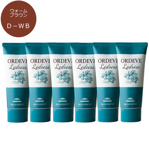 MILBON（ミルボン） 6点セット オルディーブ ルドレス 160g D-WB