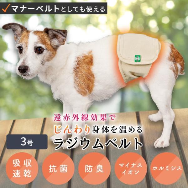 自宅で簡単温泉効果 リラックス 冷え対策 介護 腰痛 ケガ マナー兼用 ラジウム健康ベルト 3号 ポンポリース 5031