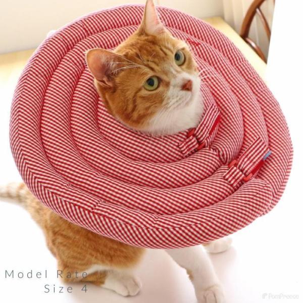 ワイドドーナツエリザベスカラー