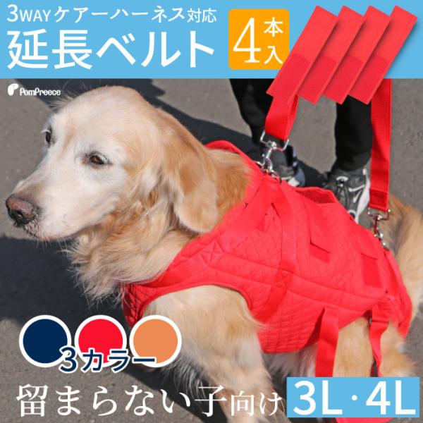 pomp-ya_5866-oogataken