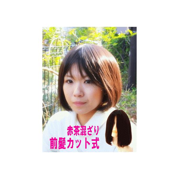 {u@lуtEBbO@LAVN@×p߁@l100@EBbO~Vdグ@{uV[g@ԒÂ