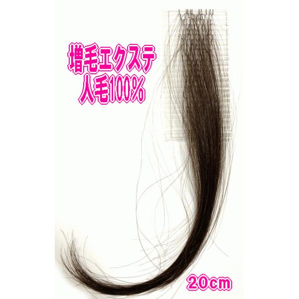 Y@їplуwA[[v@i~[lс@GNXeA@@GNXeV@l1000{i250[vj j[hȂ