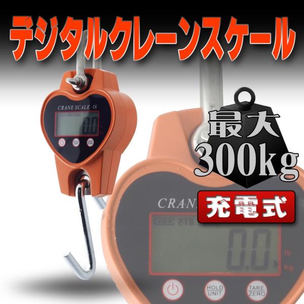 ͂ fW^N[XP[ 300kg 0.3t [d dr ݂蔉 A4403T