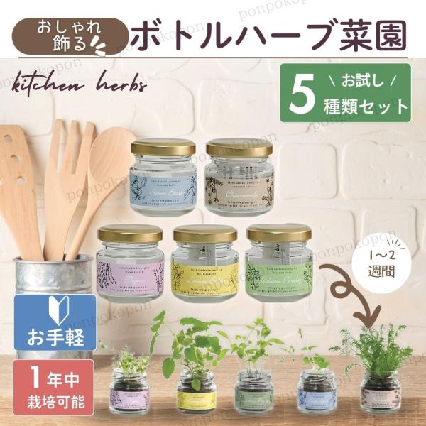 ○小さなジャム瓶で育てる、かわいいハーブ栽培セットです。手のひらにすっぽり収まるコンパクトなボトルは、見た目も可愛らしく、インテリアとしても楽しめます。【特徴】・手のひらサイズ（直径約5.5cm × 高さ5.5cm／重さ 約66g）・瓶の中...
