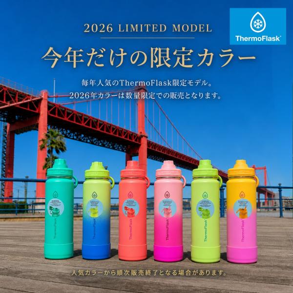 サーモフラスク 水筒 コストコ 700 ml おしゃれ 2本セット ステンレスボトル ウォーターボトル 0.7リットル 保冷 マグボトル ストロー 魔法瓶 爆買 超PayPay祭