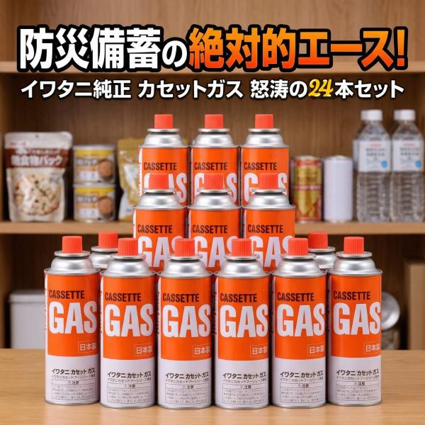 他サイト： イワタニ カセットガス 24本 セット CB-250-OR カセットボンベ 純正 防災 備蓄 まとめ買い ポイント消化 送料無料の商品画像