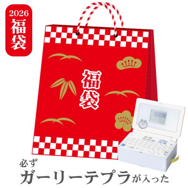 福袋 2026 雑貨 文具 必ずガーリーテプラが入った ハッピーバッグ SR