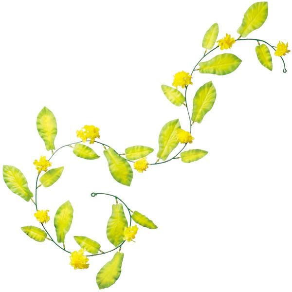 �؂̉ԃ��[�R�X�g�K�[�����h�@L180cm�Ԍa/7cm�@�z�EPE�y1�{���z