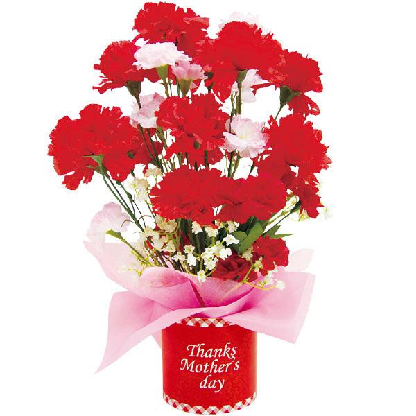 ̓J[l[VX^h@H40×W23cm :10cm@zEsDzEEPEEX`[y1z