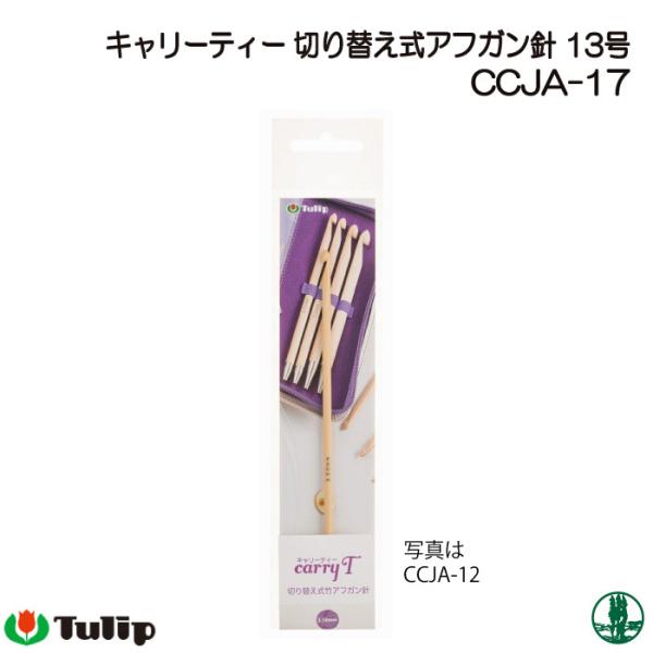 ҂ݐj `[bv CCJA-17 L[eB[AtKj 13 1{ AtKj ю̃|v