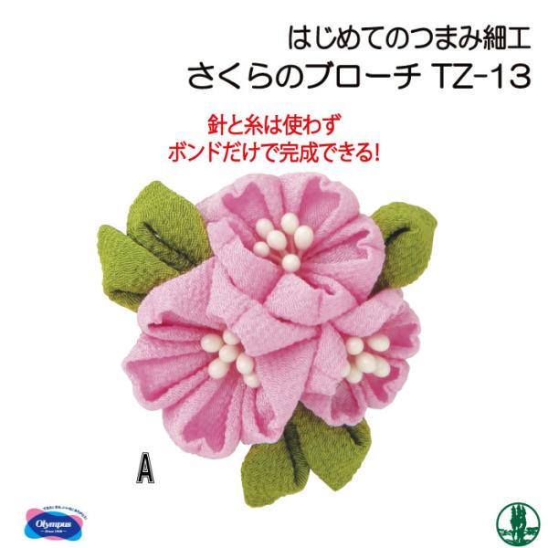 | KIT IpX TZ-13 ̃u[` 1g ̑ ю̃|v