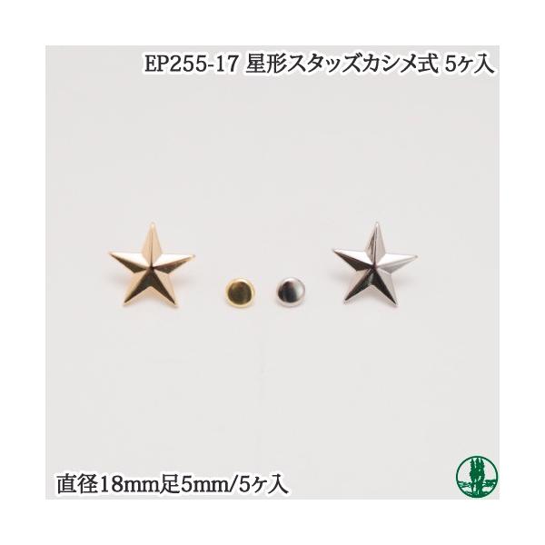 EP255-17 `X^bYJV 5 ю̃|v