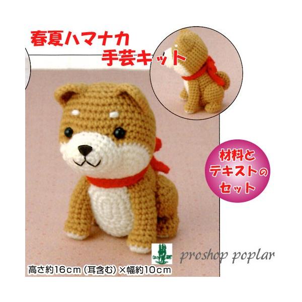 ҂ݕ KIT n}iJ H301-504 قČ 1Zbg Gߊ֘Ai 񏤕i