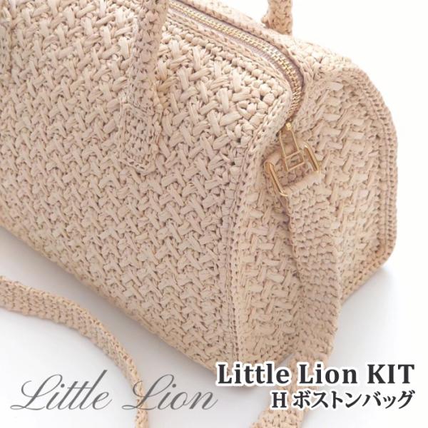 LION製品オリジナル　旅行用合皮バック　新品　限定品 poplar_7980065