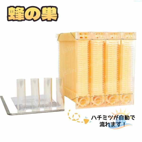 蜂の巣箱 蜂蜜が自動で流れ 新登場 ミツバチの巣箱セット ハチミツ集め