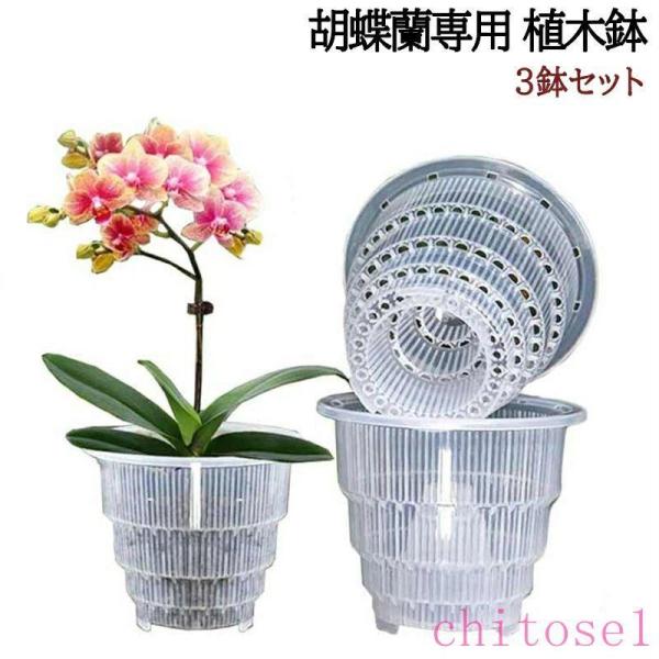 胡蝶蘭専用 植木鉢 3鉢セット 胡蝶蘭の植え替え 鉢 受皿付き 多穴型 通気性抜群ゾンチー根腐れ防止 直径10 排水穴付き プラスチック 蘭の鉢 観葉植物の鉢