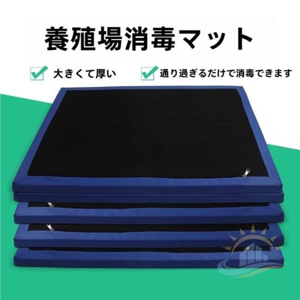 消毒フットマット ２個入りスポンジ エントランスマット マットエントリラグ ゾンチー 飼育用人間工学フロア 消毒フロントドア 病院実験室用動物