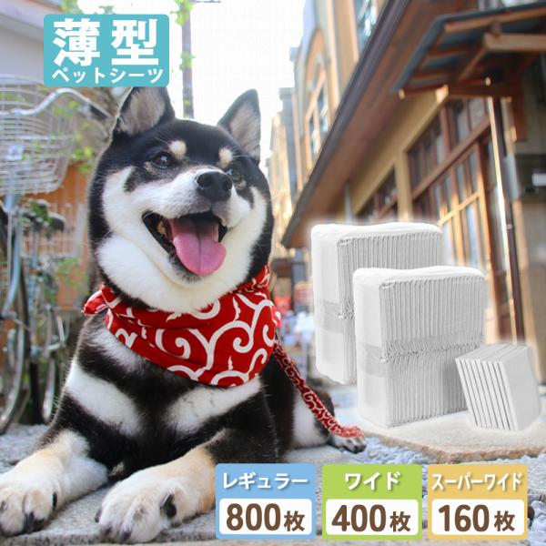 新品発売　特価割引中●シーツサイズレギュラー：幅約45×奥行約33重さ：12g  　（100枚/ケース）ワイド：幅約60×奥行約45  重さ：24g  　（50枚/ケース）スーパーワイド：幅約60×奥行約90重さ：60g  　（20枚/ケー...