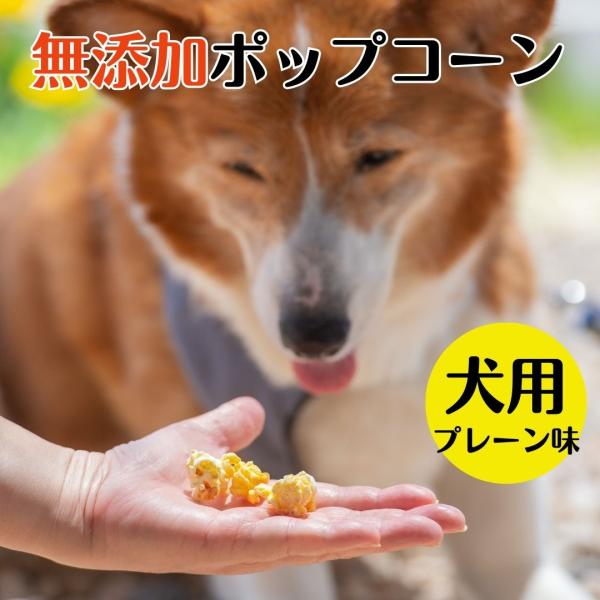 犬のおやつ添加物不使用 犬のポップコーン 18ｇ Popcorn Inu ぽっぷんru Fu 通販 Yahoo ショッピング