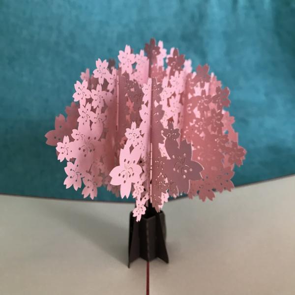 3dポップアップカード 桜満開 Buyee Buyee 日本の通販商品 オークションの代理入札 代理購入