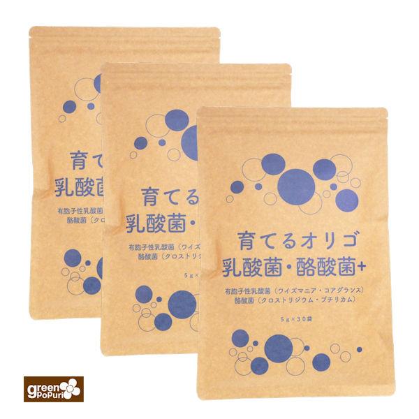 育てるオリゴ乳酸菌・酪酸菌プラス 粉末5g×30包 3袋セット 生きた