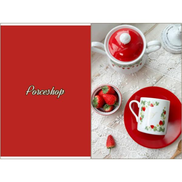 ポーセラーツ 転写紙 【白磁用】単色転写紙 レッド A4サイズ