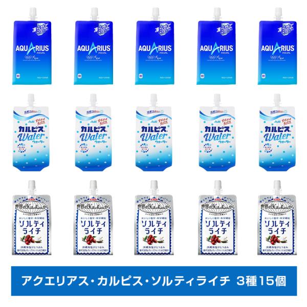 アクエリアス カルピス ソルティライチ パウチ 3種各5個 合計15個
