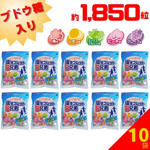 熱中症対策 塩分補給 送料無料 2024年最新入荷 10袋まとめ買い 熱中症対策 塩分補給 送料無料 2024年最新入荷 10袋まとめ買い