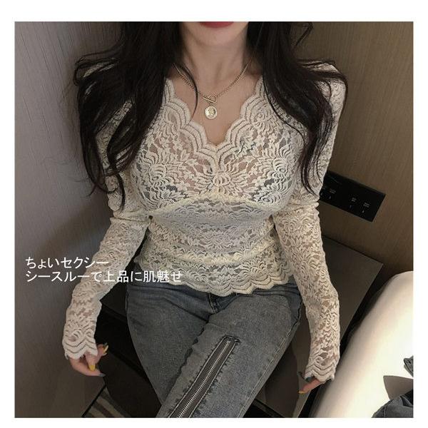 トップス レーストップス 袖あり 長袖 チュール フラワー 透け感 セクシー レース インナー シースルー 韓国風 可愛い Vネック ブラウス Dg440d3 ポルテリンク 通販 Yahoo ショッピング