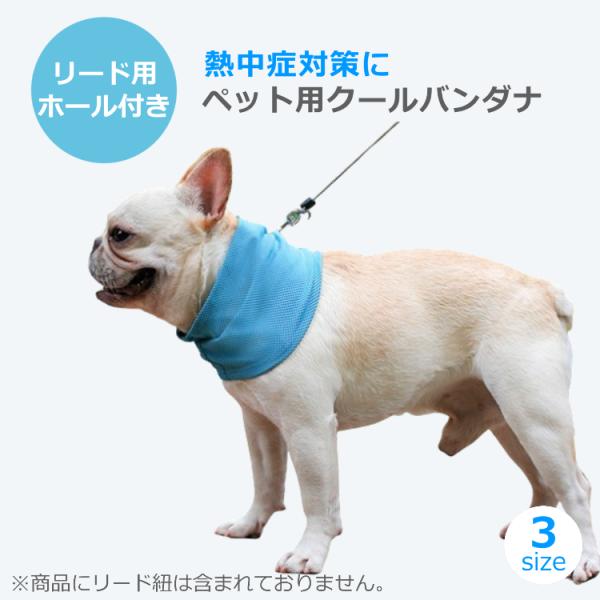 ペット用 ネッククーラー クール バンダナ ネック 犬 猫 首輪 ハーネス