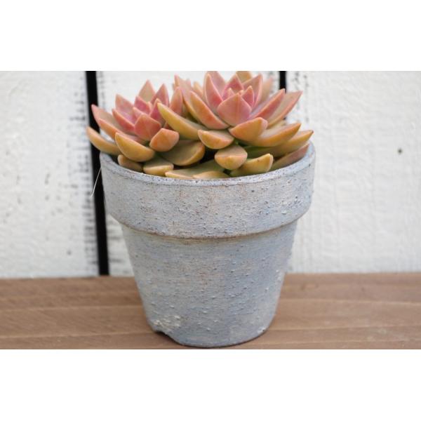 ハンドメイド 多肉植物寄せ植えに リメイク鉢 ブルーグレー Re035 Portobellomarket Yahoo店 通販 Yahoo ショッピング