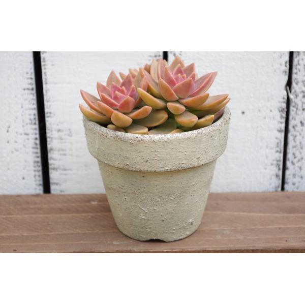 nhCh@A񂹐AɁ@CN@A[~[O[