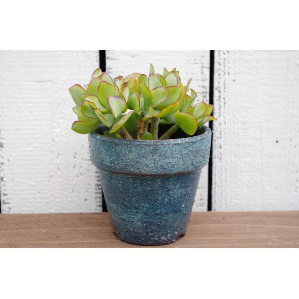 nhCh@A񂹐AɁ@CN@lCr[