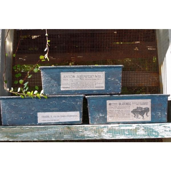 nhCh@A񂹐AɁ@CNpEh^@lCr[