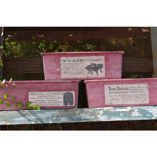 nhCh@A񂹐AɁ@CNpEh^@{h[