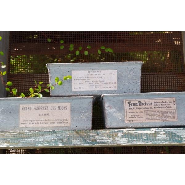 nhCh@A񂹐AɁ@CNpEh^@u[O[