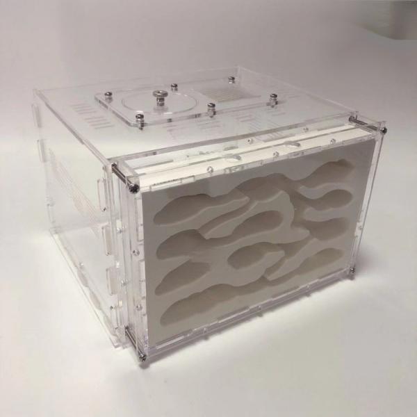 サイズ：幅155mm 奥行135mm 高さ110mm素材：石膏+アクリル1.湿潤材料として石膏を使用することは、生きているアリに最適です。2.湿気が巣室にゆっくりと広がり、アリは住むのに適した場所を選びます。3.湿潤石膏は高密度石膏を使用し...