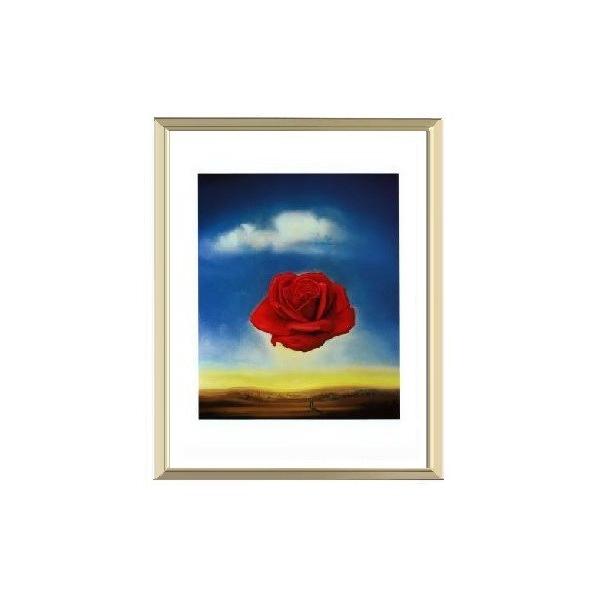 -Toh[E_ A~z|X^[-ĽŎ(300×380×7.5mm) -CeA-