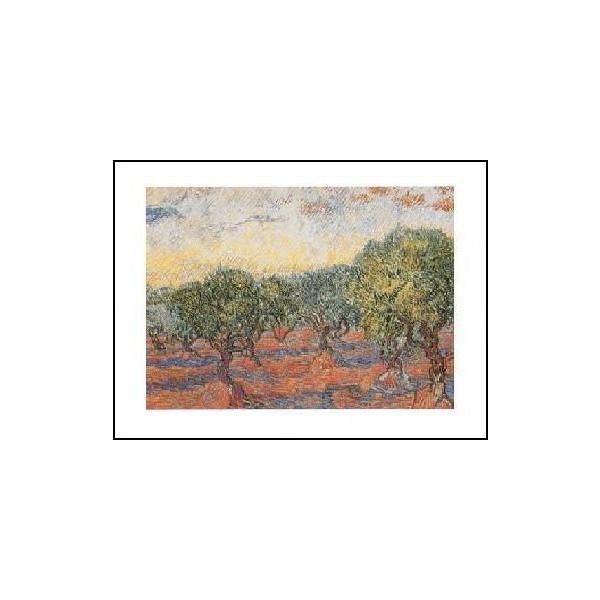 -Sbz A[g|X^[-Ex[g(50cm×70cm) -CeA-