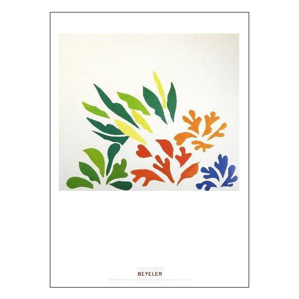 -}eBX A[g|X^[- Acanthes(70×100cm) -CeA-